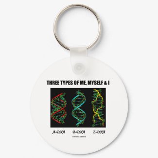 Three Types Of Me, Myself & I (A-DNA B-DNA Z-DNA) keychain