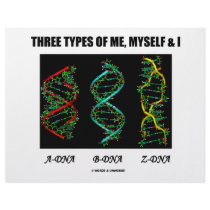 Three Types Of Me, Myself & I (A-DNA B-DNA Z-DNA) Customized Letterhead