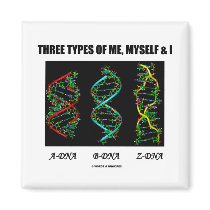 Three Types Of Me, Myself & I (A-DNA B-DNA Z-DNA) magnets by wordsunwords Three Types Of Me, Myself & I (A-DNA B-DNA Z-DNA) magnets
