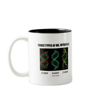 Three Types Of Me, Myself & I (A-DNA B-DNA Z-DNA) mug