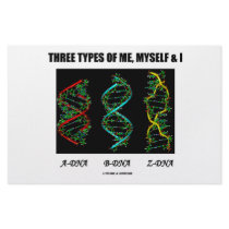 Three Types Of Me, Myself & I (A-DNA B-DNA Z-DNA) stationery