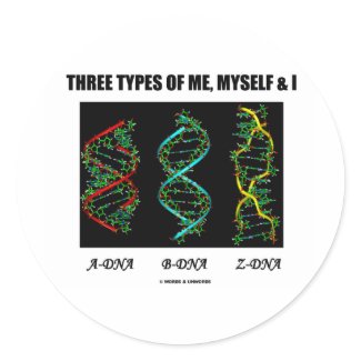 Three Types Of Me, Myself & I (A-DNA B-DNA Z-DNA) sticker