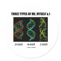 Three Types Of Me, Myself & I (A-DNA B-DNA Z-DNA) stickers by wordsunwords Three Types Of Me, Myself & I (A-DNA B-DNA Z-DNA) stickers