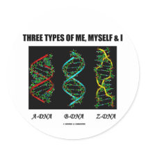 Three Types Of Me, Myself & I (A-DNA B-DNA Z-DNA) Round Stickers