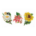 Three Vintage Flowers Poster posters