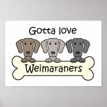 Three Weimaraners Print