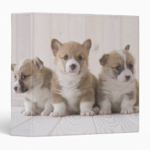 Three Welsh Corgi Binders