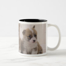 Three Welsh Corgi Coffee Mug