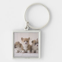 Three Welsh Corgi Key Chains