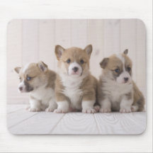 Three Welsh Corgi Mousepads