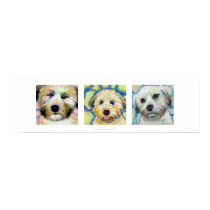 Three Wheaten Terrier paintings fun cute dog art posters