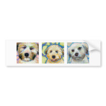 Three Wheaten Terrier paintings - fun dog art bumper stickers