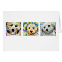 Three Wheaten Terrier paintings - fun dog art cards
