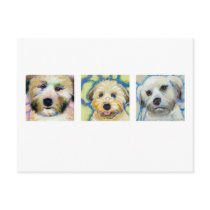 Three Wheaten Terrier paintings - fun dog art postcards