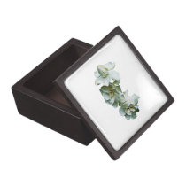 Three White Camellias premium gift boxes