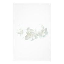 Three White Camellias stationery