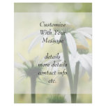 Three White Coneflowers Custom Flyer