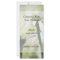 Three White Coneflowers Custom Rack Cards