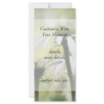 Three White Coneflowers Custom Rack Cards