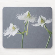 Three White Egret Orchids Mousemats