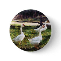 Three White Geese buttons