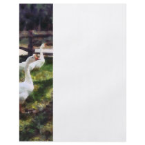 Three White Geese flyers