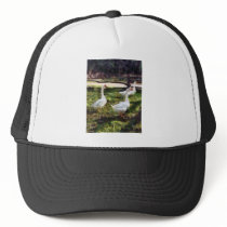 Three White Geese hats