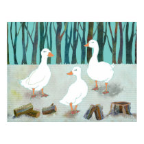 Three White Geese Poster posters
