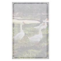 Three White Geese stationery