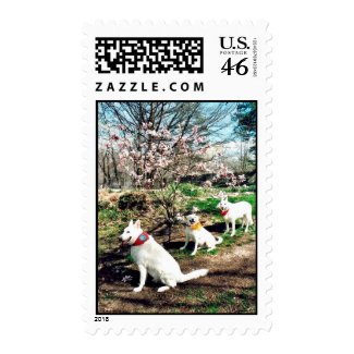 Three White Shepherds stamp