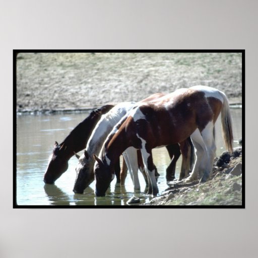 Use the drop-down menus to put the parts of a literary analysis paragraph in the correct order. picture