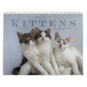 Three Wild Kittens Calendar by jaisjewels