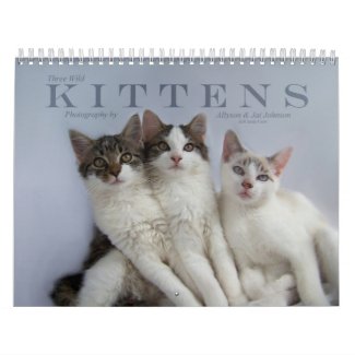 Three Wild Kittens calendar