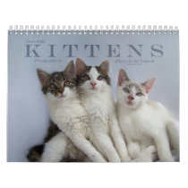 Three Wild Kittens calendars