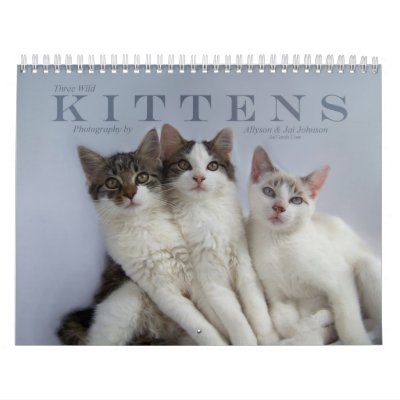 Three Wild Kittens Wall Calendars