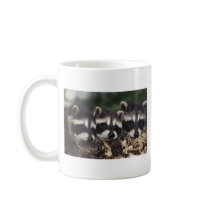 Three Young Raccoons Mugs