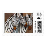 Three Zebras Stamps