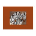 Three Zebras postcards by klocke Three Zebras postcards