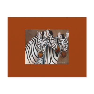 Three Zebras Postcard by klocke