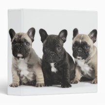 Threee Pedigree Puppies 3 Ring Binders