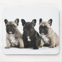 Threee Pedigree Puppies Mousepads