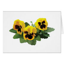ThreeYellowPansies Greeting Cards