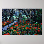 Throug fields of Beauty Poster