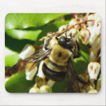 Through a Bees Eyes mousepads