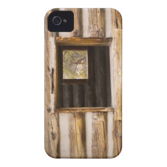 Through and Through Cabin Window Case-mate Iphone 4 Case