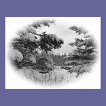 Through Branches posters