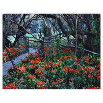 Through Fields Of Beauty Flyers