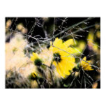 floral art, flower, ornamental grass, seeds,