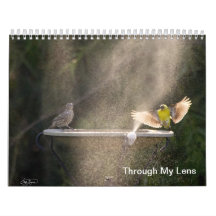 Through My Lens Wall Calendars