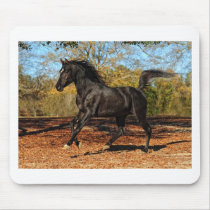 Through the Autumn leaves Mouse Pads
